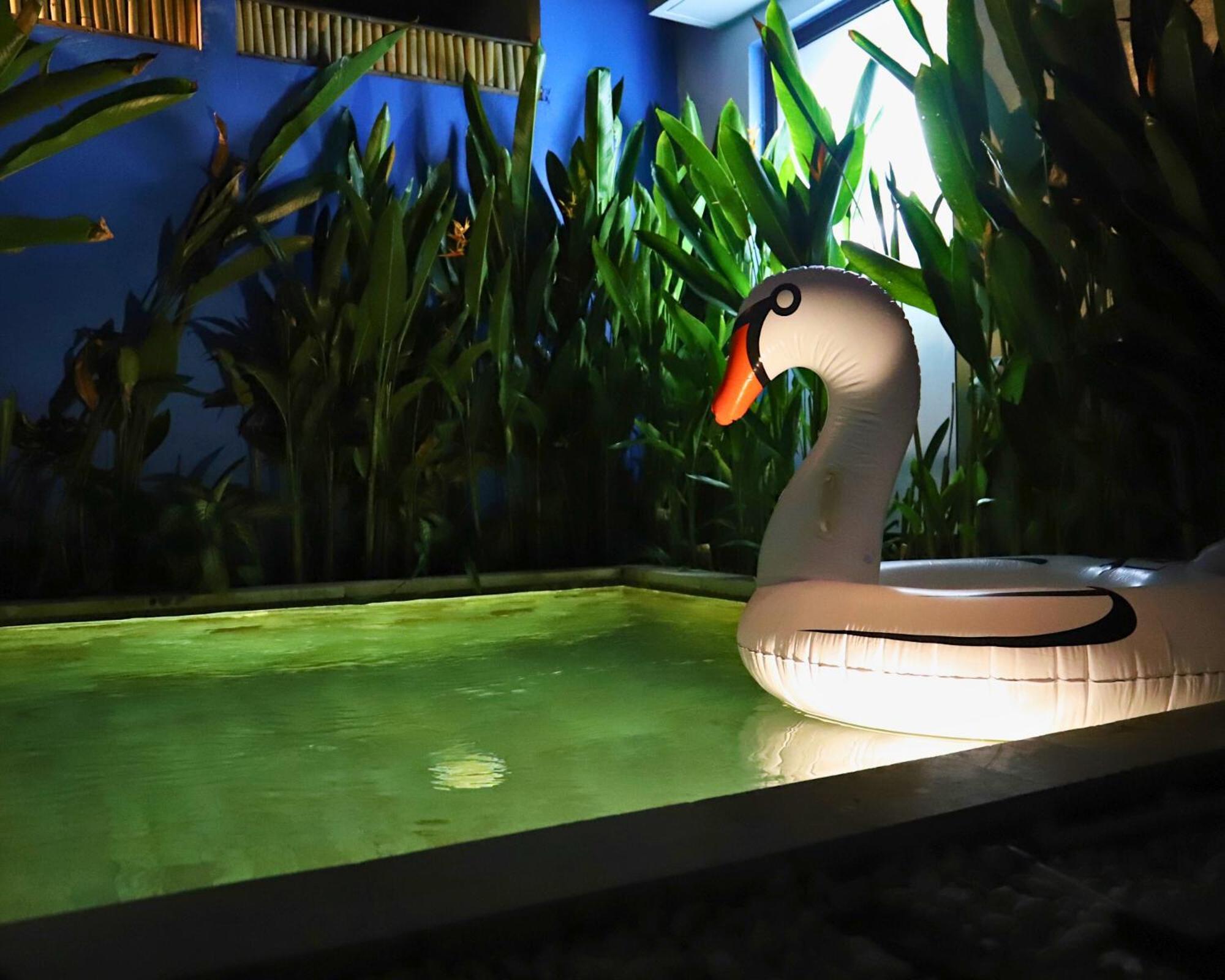 Peacock Private Pool Paradise Dalung  Luaran gambar